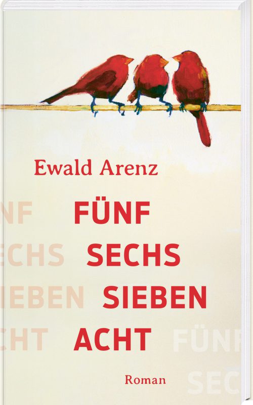 Cover Fünf Sechs Sieben