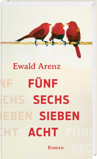 Cover Fünf Sechs Sieben