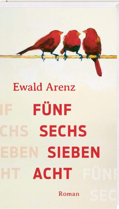 Cover Fünf Sechs Sieben